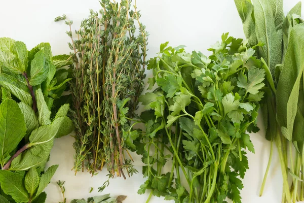 Fresh herbs isolated on white background, parsley, rosemary, thyme, sage, oregano,