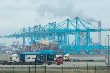 Maasvlakte, Rotterdam Limanı, Hollanda - 22 Ekim 2020: kargo konteynerlerini kamyonlara taşıyan ağır yük vinçleri