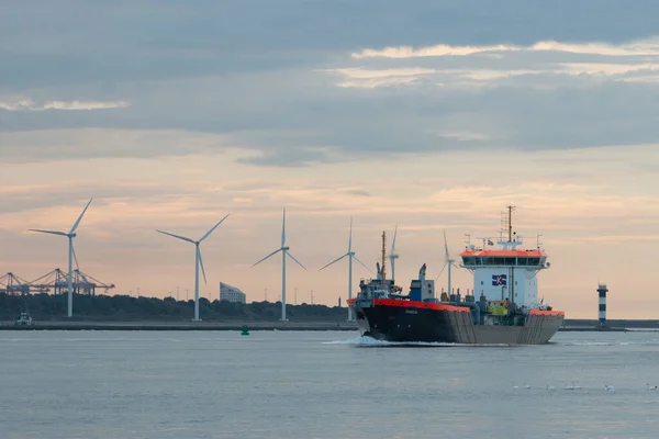 Maasvlakte Rotterdam Нідерланди Вересня 2021 Корабель Прибуває Порт Роттердам Через — стокове фото
