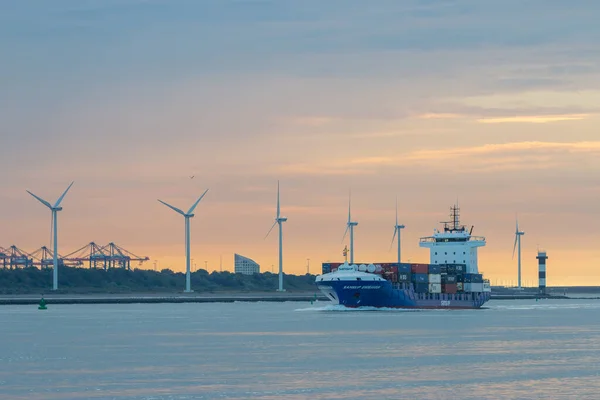 Maasvlakte Rotterdam Нідерланди Вересня 2021 Корабель Контейнер Прибуває Порт Роттердам — стокове фото