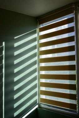 Yumuşak sabah ışığı modern bir iç mekanda yeşil bir duvarda zebra panjurlarından çizgili gölgeler yaratır. Doğal güneş ışığı, kontrastlı ve soyut desenli minimalist geometrik kompozisyon. Tasarım kavramları, arkaplanlar, iç temalar için ideal