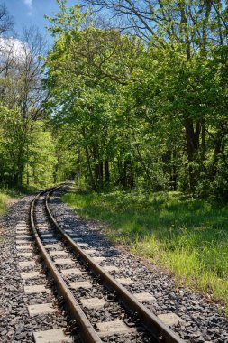 Mavi gökyüzünün altındaki yemyeşil orman boyunca kıvrımlı demiryolu. Seyahat ve ulaşım arkaplanı, öncü çizgiler ve kopyalama alanı.
