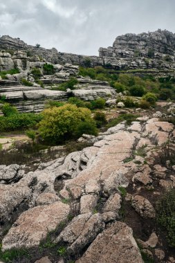 İspanya, El Torcal de Antequera 'da katmanlı kireçtaşı oluşumları