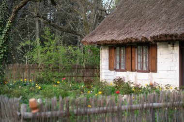 Polonya, Lodz Botanik Bahçesi 'nde sazdan çatılı kır evi, ahşap çitler ve bahar bahçesi çiçekleri, seyahat ve yaşam tarzı temaları için huzurlu kırsal alan.