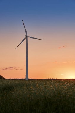 Günbatımında yeşil alan üzerinde rüzgar türbini yenilenebilir ve sürdürülebilir temiz enerjiyi simgeler açık gökyüzü kopyalama alanı ile.