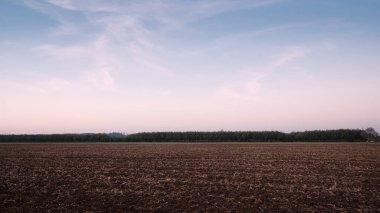 Uzak ağaç çizgisi ve pastel akşam gökyüzüne sahip pullu tarım arazisi manzarası, pankart tasarımı ve tarım, toprak ve arazi kullanımı kavramları için geniş kopya alanı.