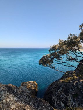 Kuzey Stradbroke Adası, sakin mavi okyanus ufkunun dikey görüntüsü. Rüzgarlı kıyı ağacı kayalık uçurumun kenarına eğilmiş.