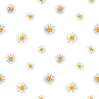 Beyaz arka planda papatya çiçekleri olan narin, pürüzsüz bir desen. Yumuşak pastel tonlarda suluboya papatyalar. Tekstil tasarımı, ambalaj, ambalaj kağıdı, kırtasiye ve çocuk ürünleri için ideal.