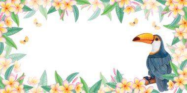 Dalında tukan bulunan suluboya dikdörtgen tropikal çerçeve, su tesisatı çiçekleri ve beyaz üzerinde izole kelebekler. Botanik tasarımlar için egzotik kuşlarla ve Frangipani çiçekleriyle yatay çiçek sınırı