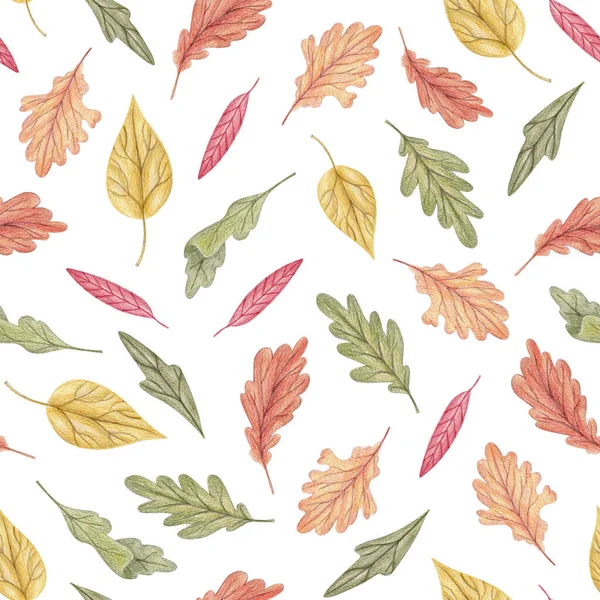 Renkli sonbahar yapraklarıyla renksiz çizilmiş kalem el deseni. Şükran Günü, hasat festivali, tatil ambalaj kağıdı ve mutfak tekstili için sonbahar yapraklı mevsimlik tekrarlanabilir tasarım..