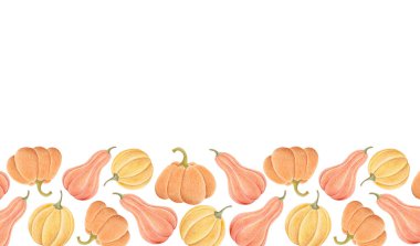 Renkli sonbahar balkabakları ve kabaklarıyla el yapımı suluboya kenarları. Davetiyeler için kırsal çizimler, Şükran Günü tebrik kartları ve hasat festivali dekorasyonu.