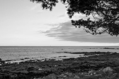 Görüntü, arka planda ağaç olan bir plajın siyah beyaz fotoğrafı. Su sakin ve gökyüzü bulutlu. Sahne huzur ve sükunettir. Gavres Yarımadası, Britanya, Fransa
