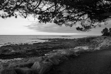 Arka planda ağaç olan bir plajın huzurlu siyah beyaz fotoğrafı. Su sakin ve gökyüzü bulutlu. Huzurlu bir atmosfer yaratıyor. Sahildeki kayalar bir istikrar hissi katıyor. Gavres Yarımadası, Britanya, Fransa