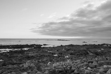 Arka planda bulutlu bir gökyüzü olan kayalık bir kıyı şeridinin siyah beyaz fotoğrafı. Sahne sakin ve sakin, okyanus ve kayalar huzur hissi yaratıyor. Gavres Yarımadası, Britanya, Fransa