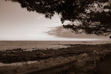 Arkasında ağaç ve ahşap bir bank olan bir kumsal. Gökyüzü bulutlu ve su sakin. Gavres Yarımadası, Britanya, Fransa
