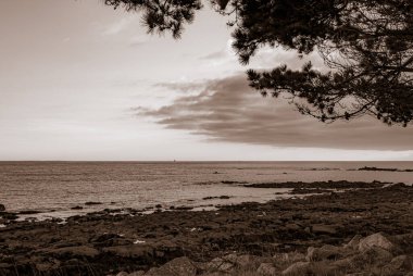 Bulutlu bir gökyüzü ve arka planda bir ağaç olan bir sahil. Gökyüzü mavi ve gri karışımı, ve su sakin. Gavres Yarımadası, Britanya, Fransa