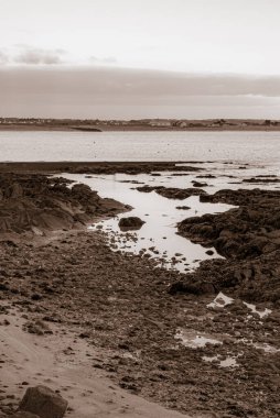 Arka planda bir su kütlesi olan kayalık bir kıyı şeridi. Su sakin ve kayalar tüm bölgeye dağılmış durumda. Gökyüzünü yansıtan suyla sahne huzurlu ve huzurlu. Gavres Yarımadası, Britanya, Fransa