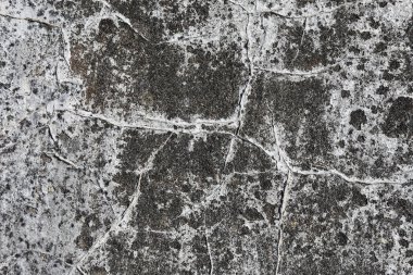 Görünür çatlaklar ve renk bozulmalarıyla yaşlanmış beton yüzey, tasarım, mimari veya kentsel temalı görseller için ideal, cesur ve dokulu bir arka plan sunuyor.