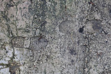 Çamurlu zemin yakın plan, ayak izi ve yan yana çıplak ayak izi. Islak toprak, su birikintileri ve dağınık enkaz dokulu, doğal bir manzara yaratır..