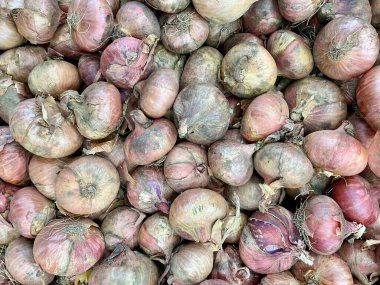 Topraksı tonlar, doğal kusurlar ve parlak ışıktaki pürüzlü cilt dokusunu gösteren taze toplanmış kırmızı soğanların yakın çekimi..