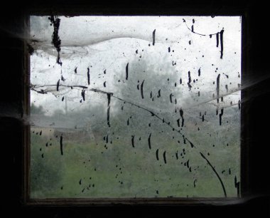 Kirli, örümcek ağıyla kaplı, lekeli, dış görünüşü bulanık bir pencere. İhmal, çürüme ve terk etme temalarını çağrıştırıyor.