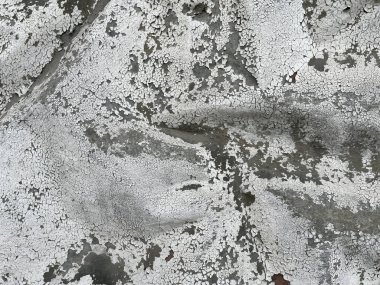 Beyaz boyalı ve çatlak yüzeyi olan bir duvarın yakın çekimi altında gri katmanlar olduğunu gösteriyor. Sıkıntılı doku grunge veya eski arkaplan kavramları için ideal.