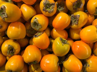 Canlı turuncu derili taze hurma yığınları ve yeşil yapraklı üstler renkli ve doğal bir meyve arkaplanı oluşturuyor..