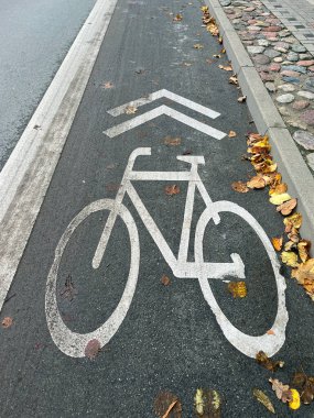 Beyaz bisiklet yolu işareti ve asfalt üzerinde yön okları, kaldırım taşı ve dağınık sonbahar yapraklarıyla çevrili..