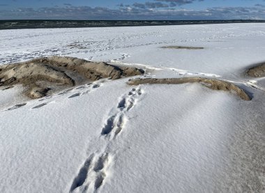 Okyanusa doğru giden karla kaplı plaj, açık kumullar, ve sakin bir kış sahnesinde dağınık bulutlu açık mavi bir gökyüzü..