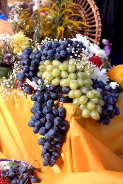 Bir demet üzüm. Yeşil ve siyah üzümler. Sonbahar, hasat.