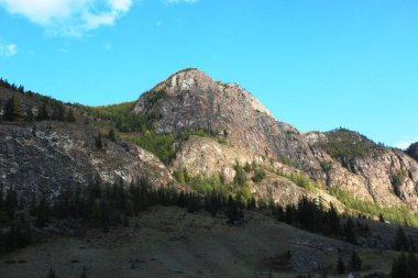 Altai Dağları. Altai Cumhuriyeti. Turizm, seyahat. Arkaplan, doku, tasarım ögesi, yazdırma, kartpostal.