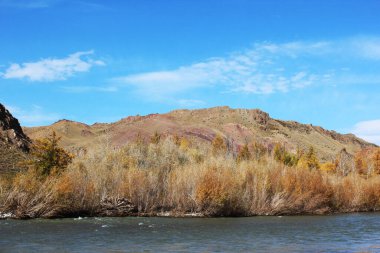 Altai Dağları. Altai Cumhuriyeti. Turizm, seyahat. Arkaplan, doku, tasarım ögesi, yazdırma, kartpostal.