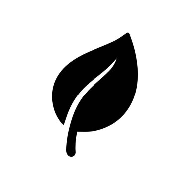 Beyaz arka planda izole edilmiş belirgin damarı olan basit bir kara yaprak.