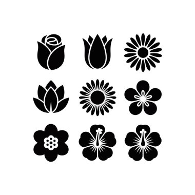 Gül Lale Papatya Lotusu