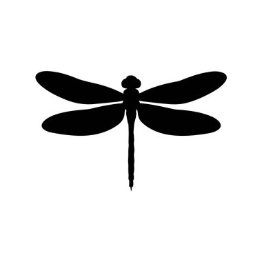 Beyaz arka planda izole edilmiş kanatları olan bir yusufçuk silueti, narin biçimini ve siyah kanat venasyonunu gözler önüne seriyor.