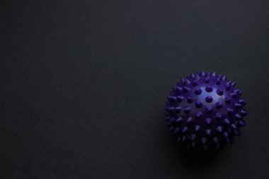 Mor dikenli masaj topu koyu dokulu arka planda geniş kopya alanı ile izole edilmiş. Zindelik, rehabilitasyon ve sağlık konuları için minimum ürün çekimi.