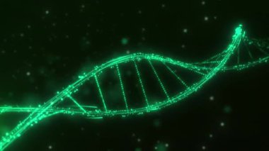  Helikal parçacık DNA biyolojik zinciri (Üretimden sonra)