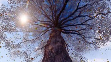 Ağaç 3 boyutlu yazılım üretiminde sonbahar yaprakları yavaşça düşüyor, yapay zekadan değil.