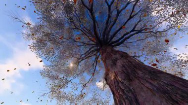 Güzel sonbahar yaprakları 3 boyutlu animasyon (3 boyutlu yazılım üretimi, AI değil