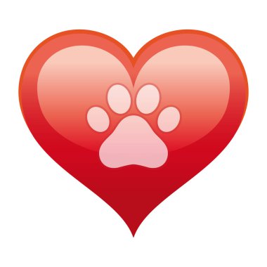 Kırmızı kalpte bir köpeğin pençesi bembeyaz bir zemin.