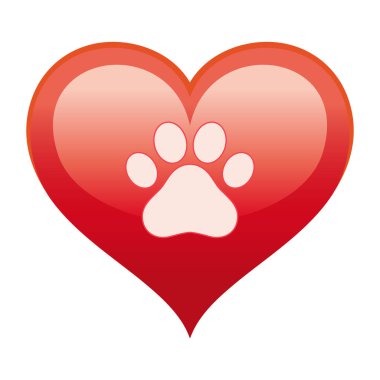 Kırmızı kalpte bir köpeğin pençesi bembeyaz bir zemin.