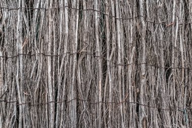 Geleneksel çatıyı ya da çit detayını gösteren kurumuş gri kamışları yatay kablo destekleriyle birbirine bağlıdır. Doğal malzeme dokusu geleneksel inşaat teknikleri ve sürdürülebilir mimaride kullanılan otantik bir kırsal görünüm sağlar.