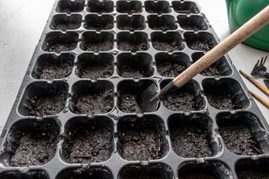 Üstünde toprak ve bahçe aletleri olan plastik bir tepsinin üst görüntüsü. Ev bahçesi ya da sera kreşi kurmak için tam set