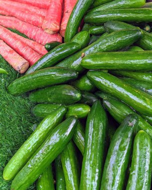 Taze organik yeşil salatalıklar ve doğal yeşil yosunlarda sıralanmış kırmızı havuçlar.