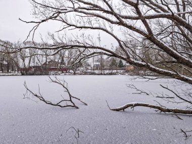 Taze karla kaplı donmuş bir göl ve sahne boyunca uzanan geniş çıplak ağaç dallarıyla huzurlu bir kış manzarası. Sakin kırsal çevre, soğuk hava ve yumuşak kar yağışı sakin ve sakin bir mevsimlik atmosfer yaratır.. 