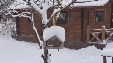 Several tits feed on a snowy wooden bird feeder attached to a tree near a rustic log cabin after fresh snowfall. Peaceful winter scene, wildlife, countryside, nature, and seasonal backyard concept.