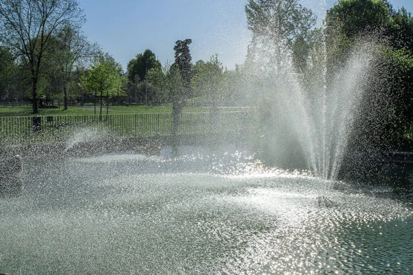 Yeşil park ağaçlarıyla çevrili, güneş ışığında ışıldayan bir çeşme. Açık hava rahatlama, temiz hava, yaz günü ve huzurlu doğa düzeni..