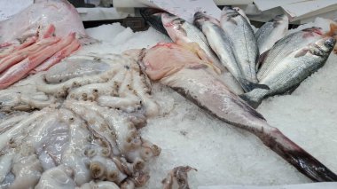 Çeşitli taze balıklar, ahtapot ve mürekkep balığı bir deniz ürünleri pazarında ezilmiş buz üzerinde sergileniyor. Çiğ okyanus, yemek pişirme, restoran menüsü ve sağlıklı protein için..