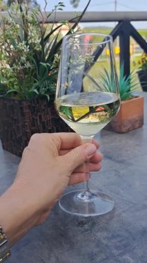 White Wine Slow Motion Video. Yavaş çekimde zarif bir beyaz şarap videosunun keyfini çıkarın. Yumuşak içecekler, hafif kıvrımlar ve parlak yansımalar yakalayın. Lüks görseller, şarap promosyonları, kutlamalar ve sinematik düzenlemeler için mükemmel..