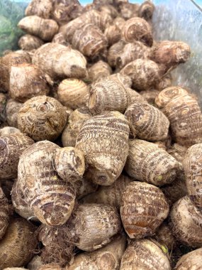 Kahverengi, kıllı ve halka derili soyulmamış taro kökleri koleksiyonu. Genellikle çeşitli geleneksel mutfaklarda nişasta olarak kullanılır.